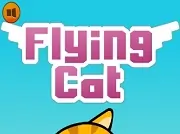 Flying Cat