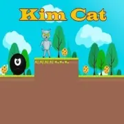 Kim Cat Game