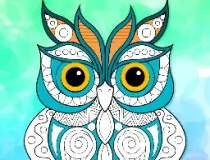 Zentangle Coloring Book